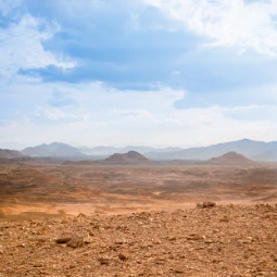 Sharm El Sheikh Desert Safari with BBQ and Live Show